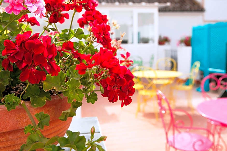 Casual de las Letras Sevilla