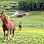 Domaine d'Escapa