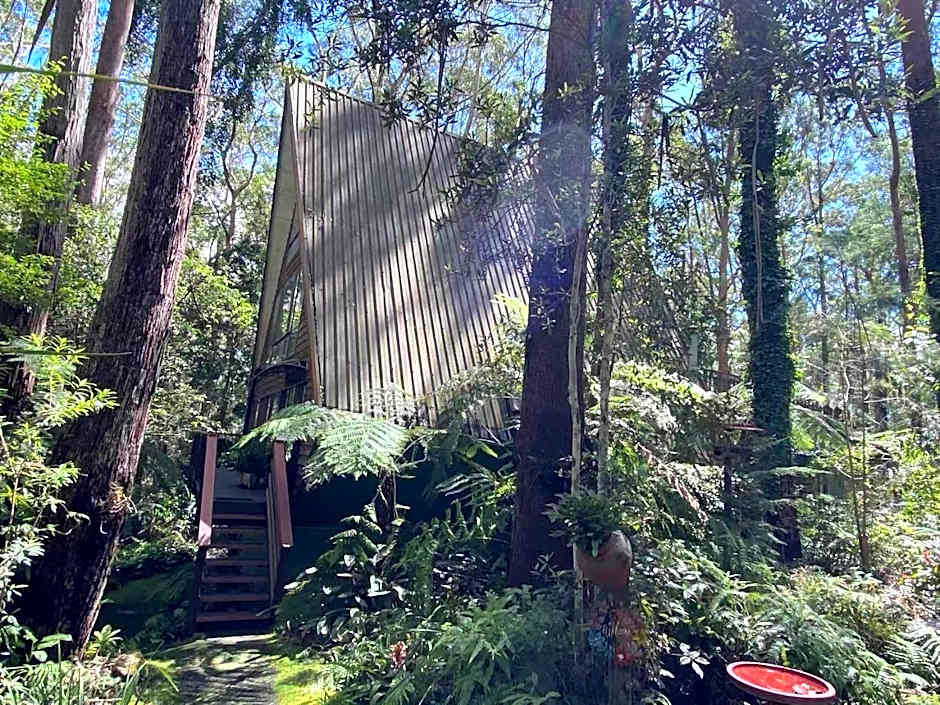 Springbrook Mountain Chalets