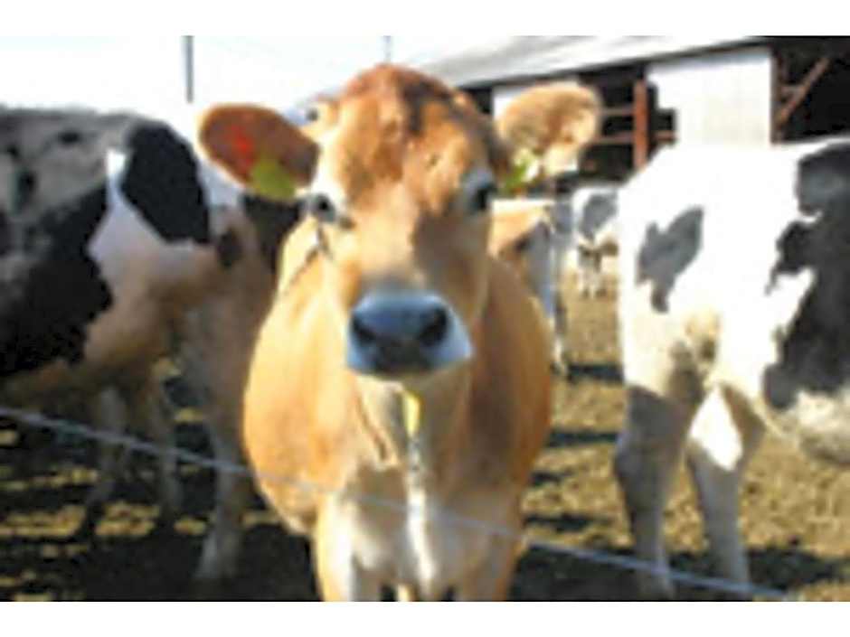 Ichihara Marine Hotel - Vacation STAY 01375v