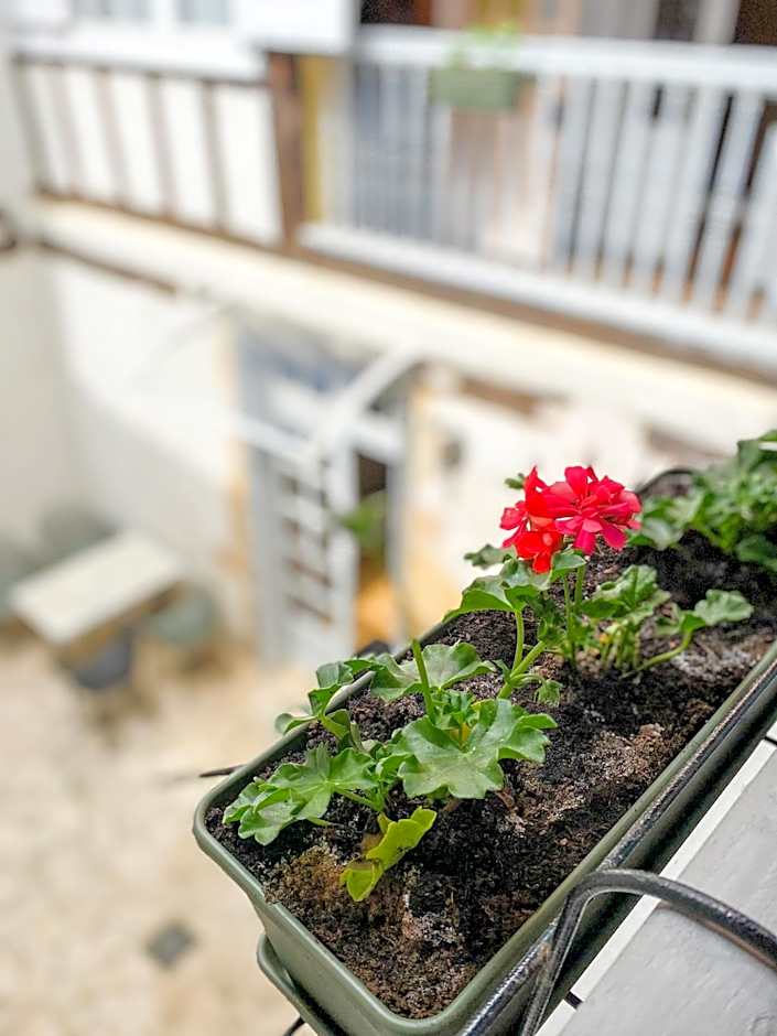 Nogapatio - Maison d'Hôtes - BnB