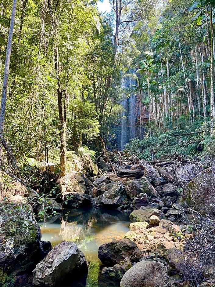 Nightcap Ridge - Byron Bay Hinterland