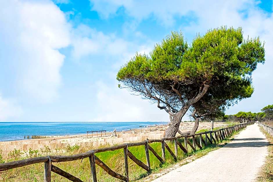 Lovely flat close to the beach-Beahost