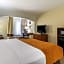 Comfort Inn & Suites Springfield I-44