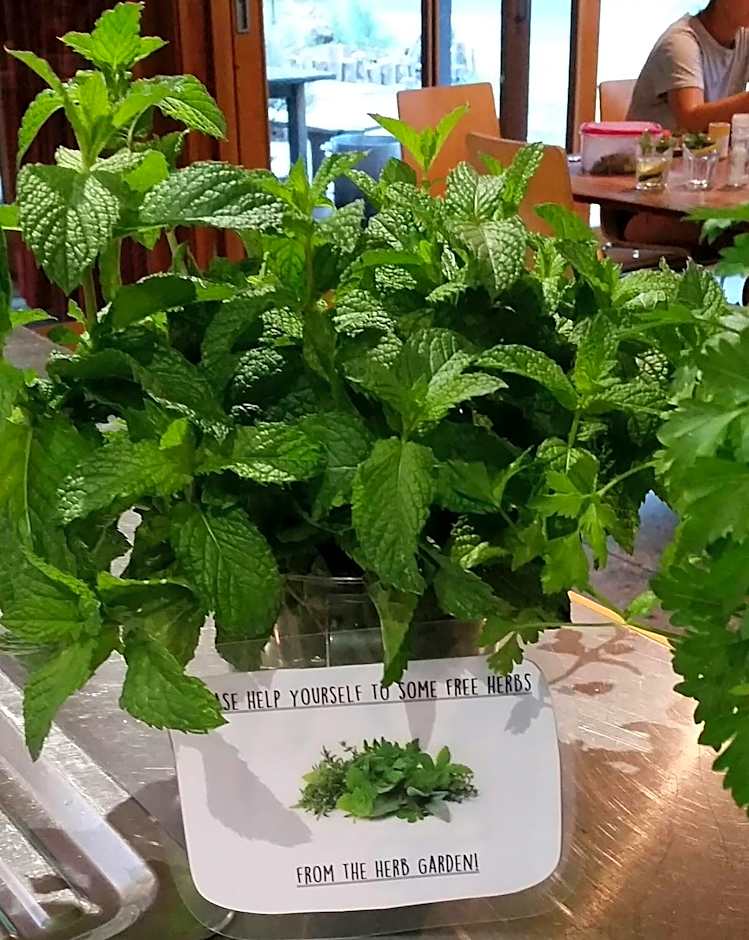 YHA Grampians Eco, Halls Gap