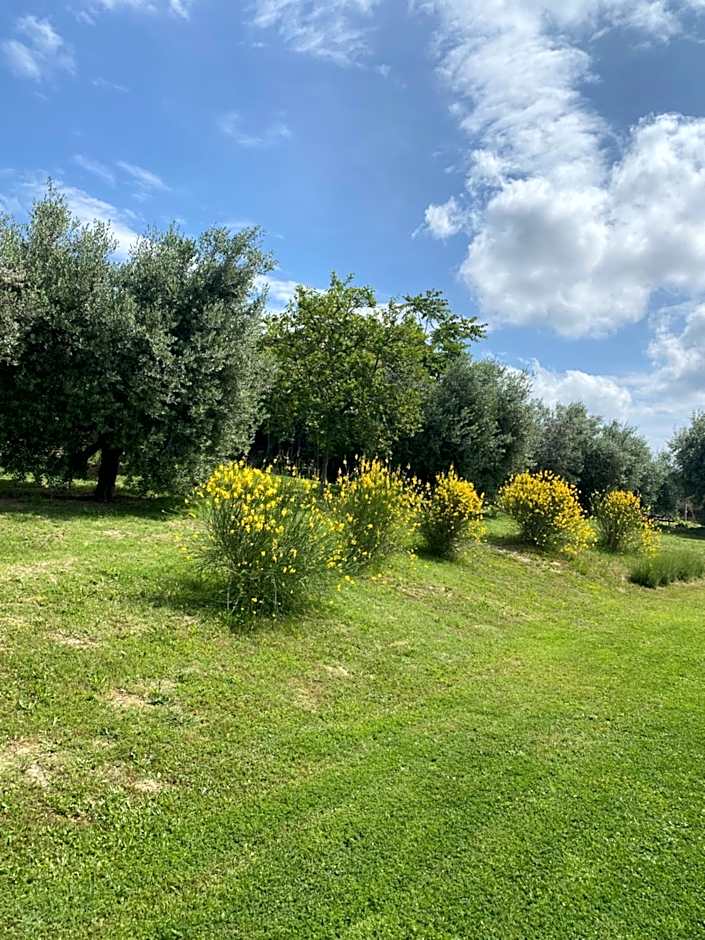 Olea b&b