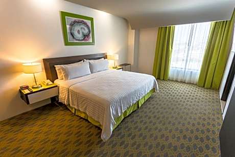 Standard King Room with Atrium View
