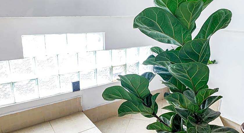 Mountain View Riverside Boutique Hotel