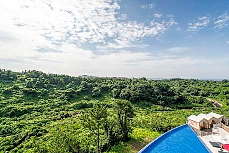 Deluxe Twin Room with Panorama View