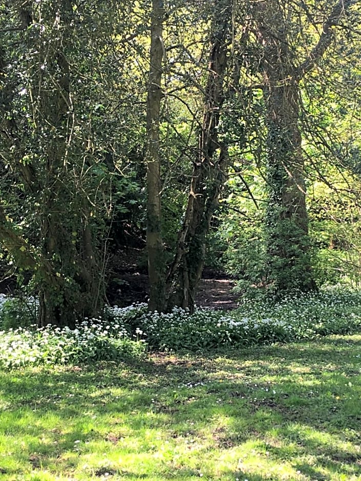 Wynberg House Bed & Breakfast Swansea