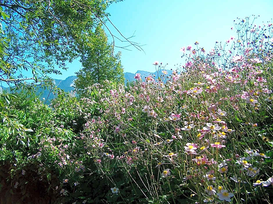 Schlossberghof Marzoll