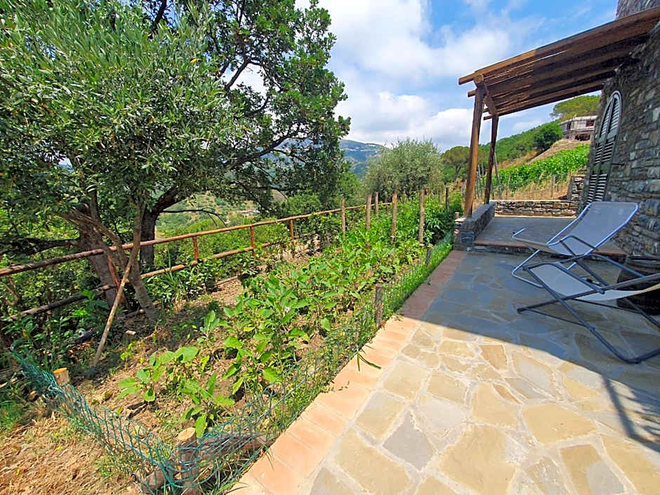 Agriturismo Le Terre di Veneré
