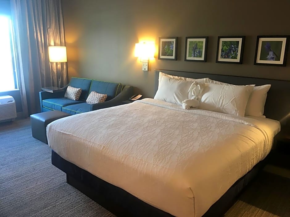Hilton Garden Inn Austin Airport