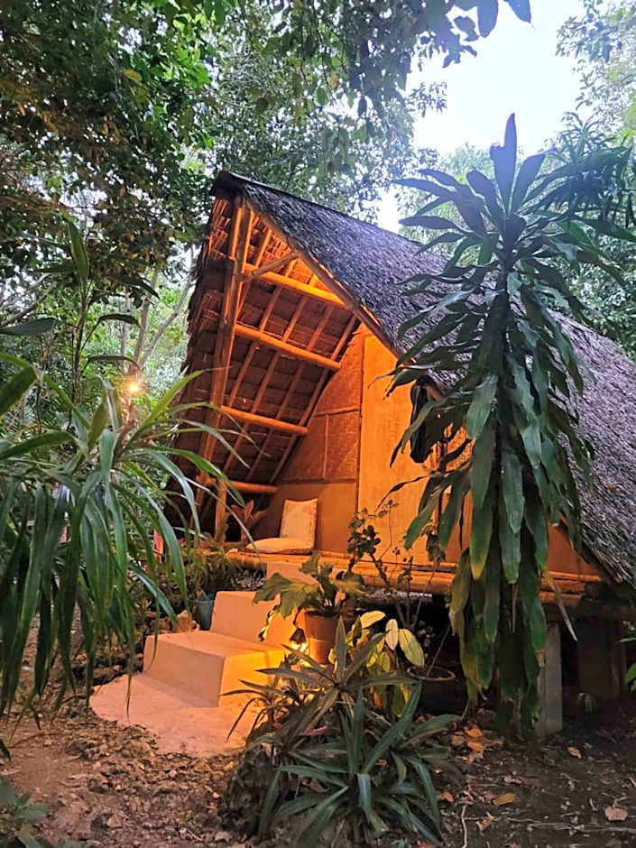 Lazy Lizard Hostel