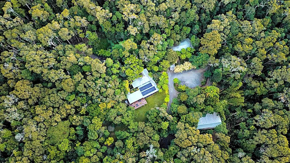 Chambers Wildlife Rainforest Lodges