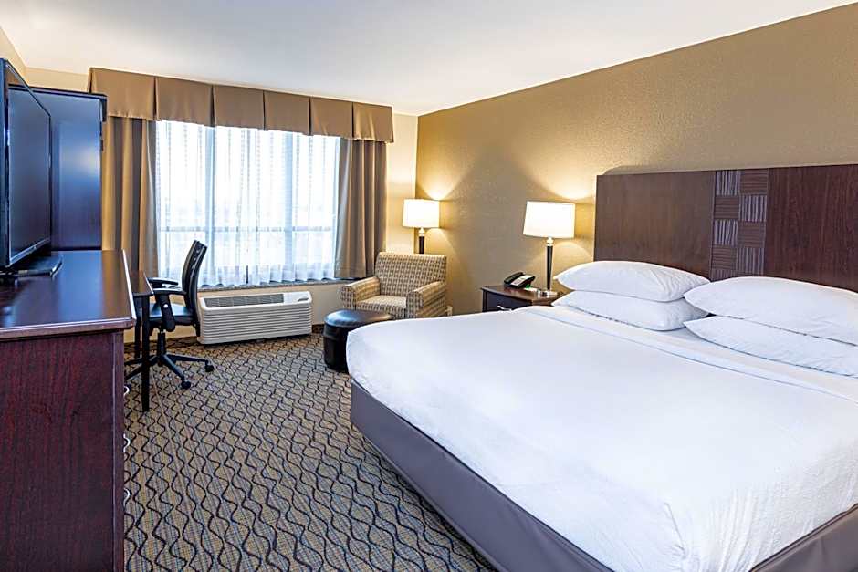 Holiday Inn St. Louis Arpt West-Earth City by IHG