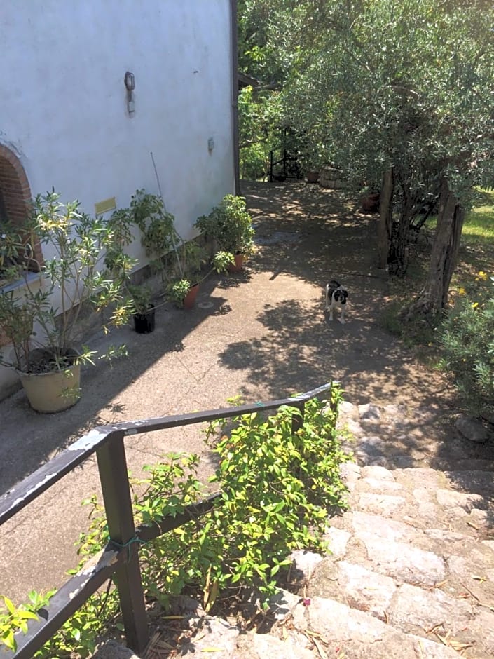 B&B La Vigna Di Mario