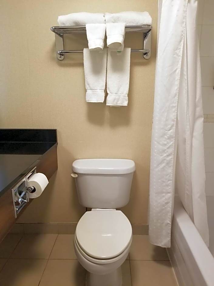 Holiday Inn Express Edmonton Downtown By IHG