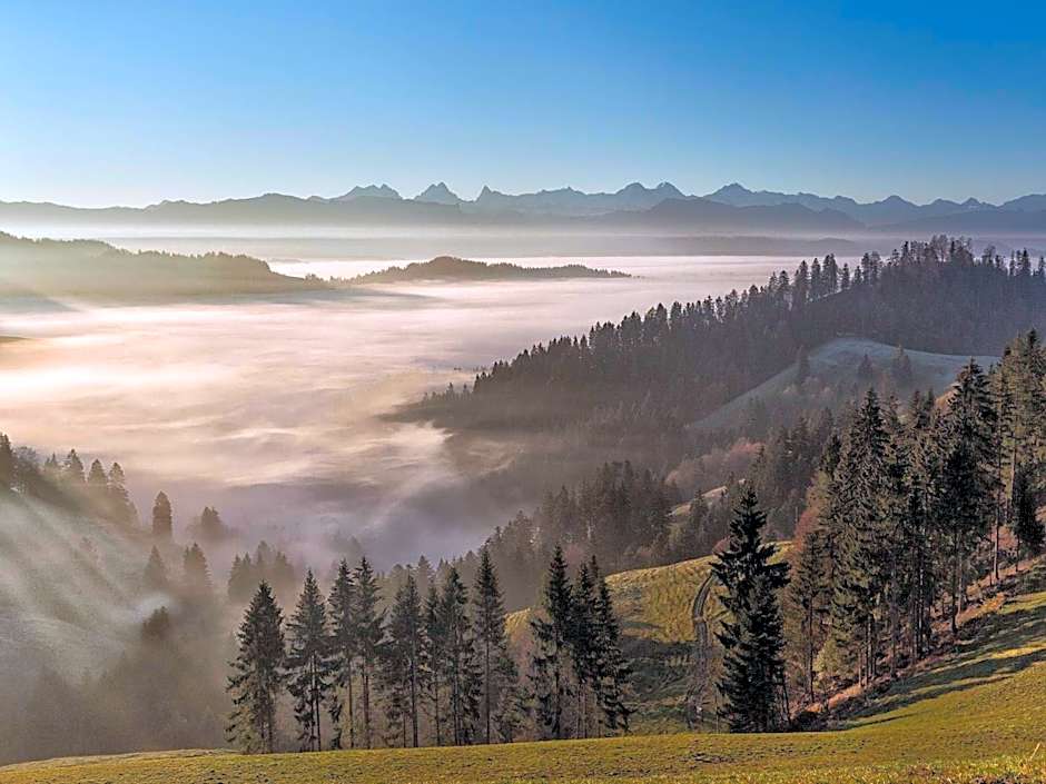 Hotel Koi-Gartenteich