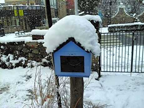 Albergue Pájaro Loco