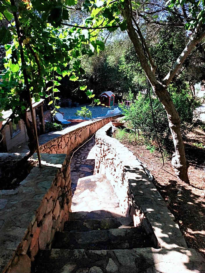 Le stanze del mare