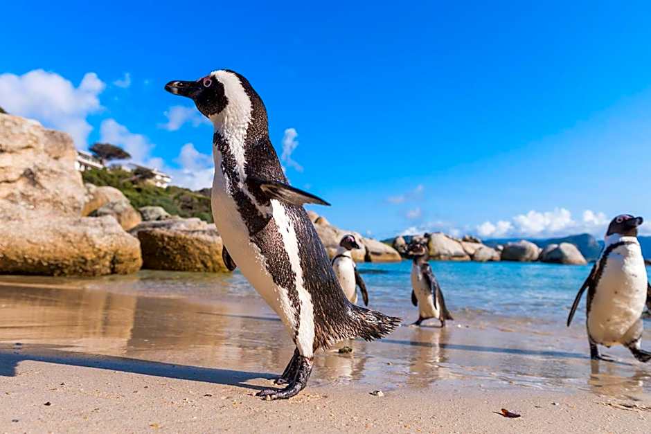 Simon's Town Quayside Hotel