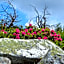 B&B Hotel Alpenrose Rooms & Apartments