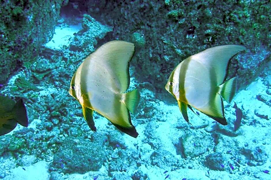 La Digue Island Lodge