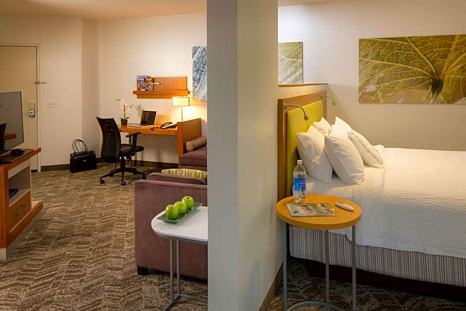 SpringHill Suites by Marriott Anchorage University Lake