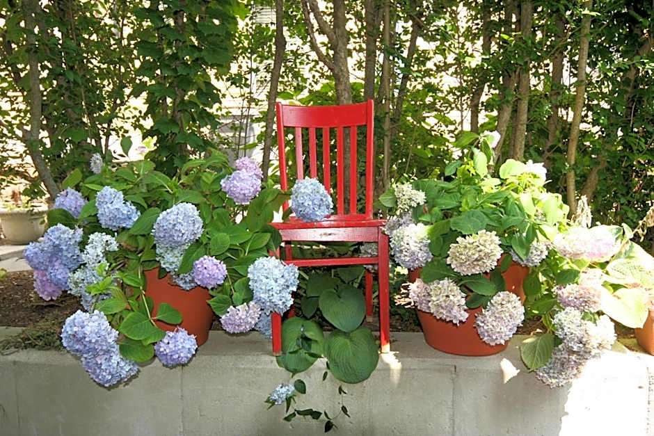Hydrangea House Inn