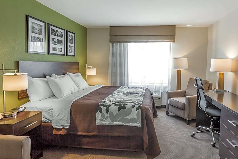 Photo 1 of 4 of 1 King Bed Suite, Accessible