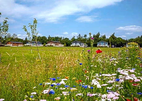 Otters Mead Boutique Lodges
