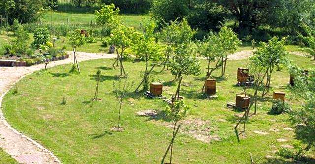 Landhotel zum Honigdieb