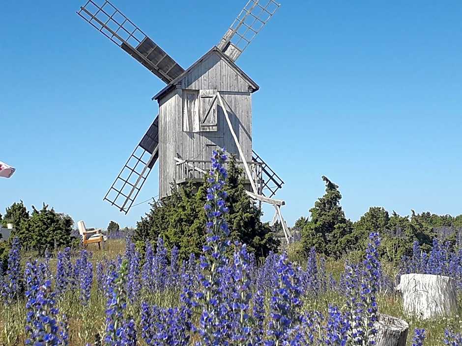 Ohessaare Windmill -Experience accommodation