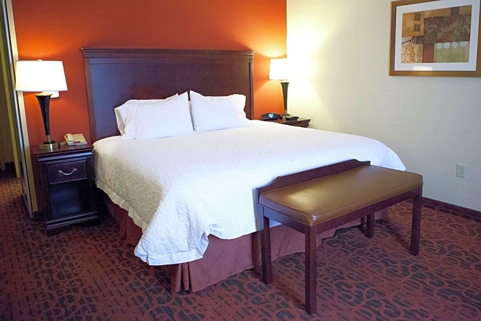 Hampton Inn By Hilton Rochester-Webster