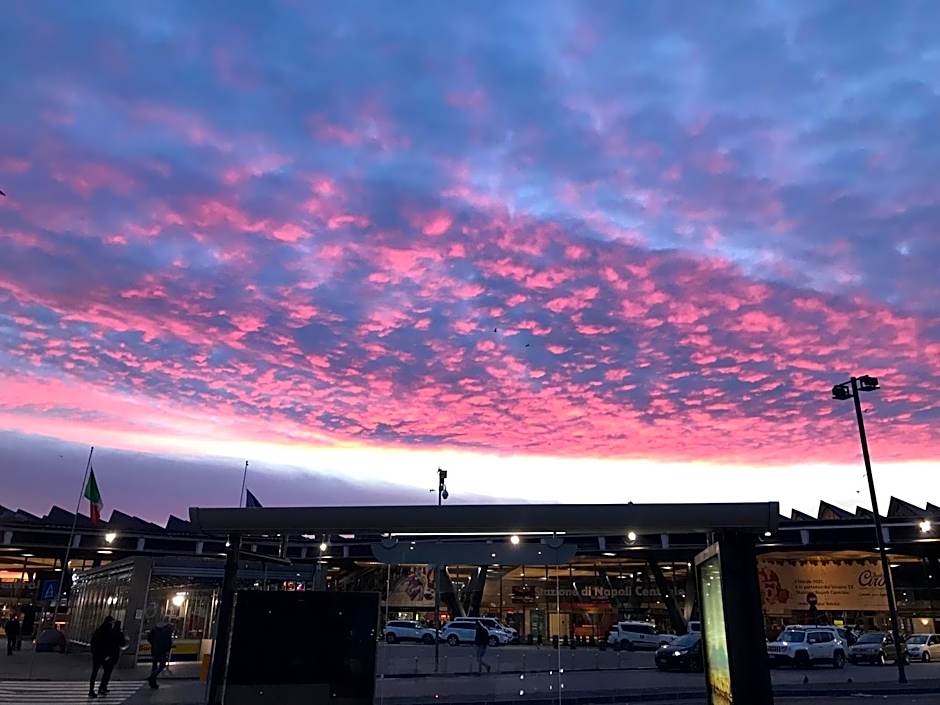 International Naples