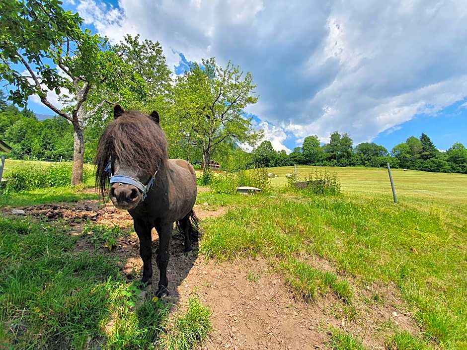 Grubhof Appartements
