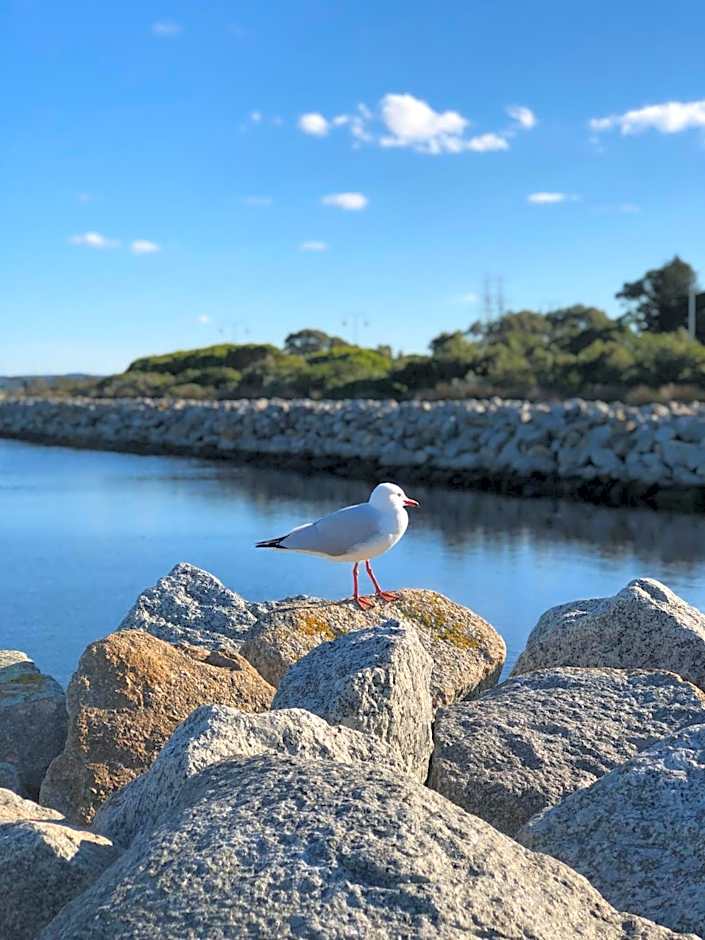 Albany Foreshore Guest House