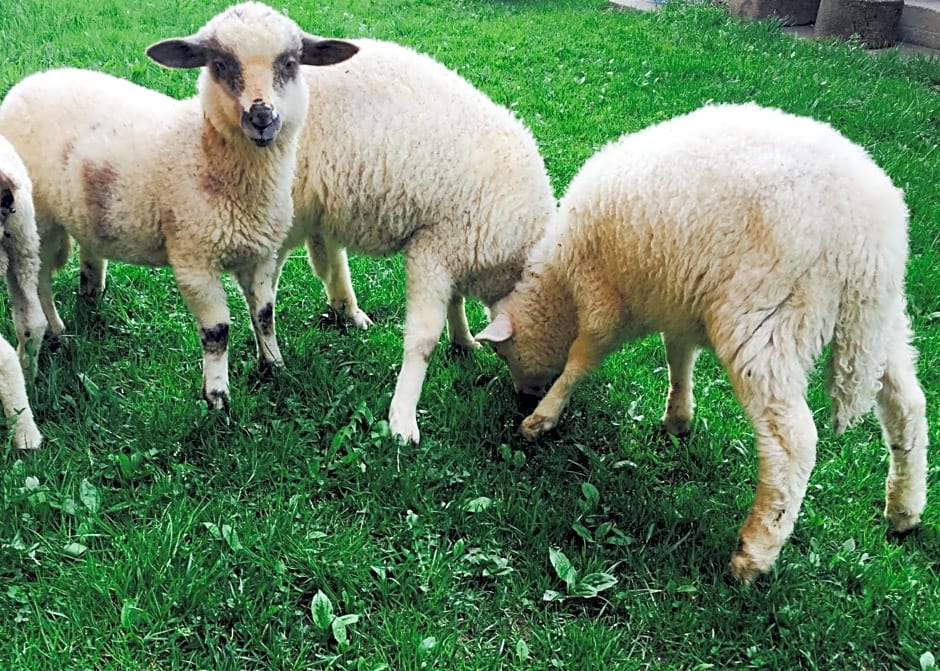 Chata nad Briežkami