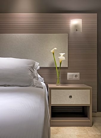 Double Room with Extra Bed (2 Adults + 1 Child up to 10 years old) 