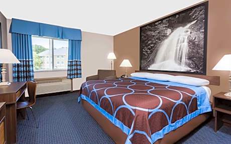 1 King Bed Non-Smoking