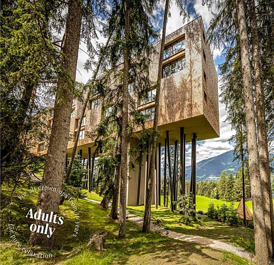 My Arbor - Dolomites