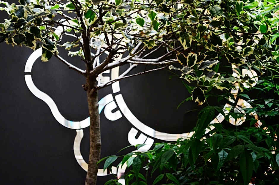 Piazza Castello Suite