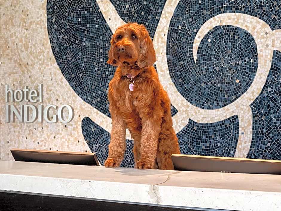 Hotel Indigo East End By IHG