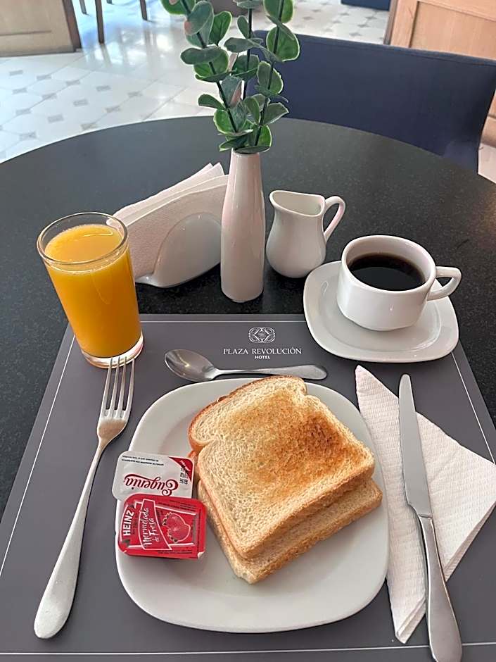 Hotel Plaza Revolución