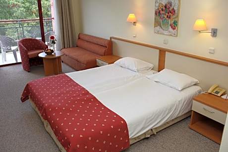 Double Room with Park View