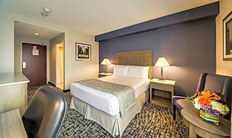 Standard Room with 1 Queen Bed