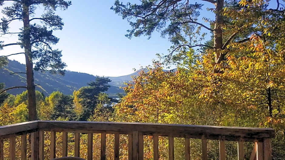 Hôtel Lodge du Lac Chambon