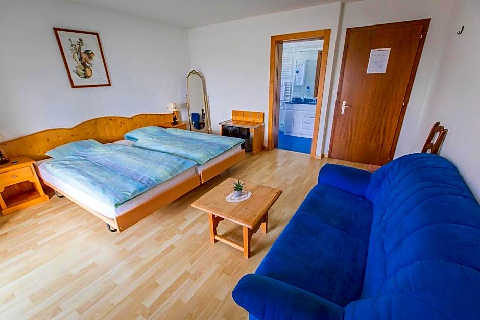 Hôtel Restaurant le Gruyérien