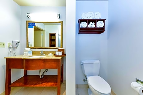 1 King Bed Nonsmoking